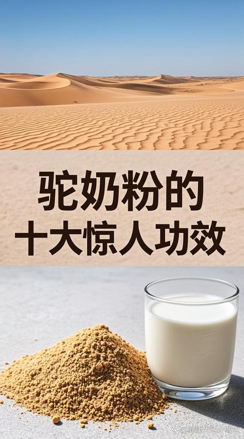 驼奶粉的十大功效 探寻沙漠黄金的乳制营养核心